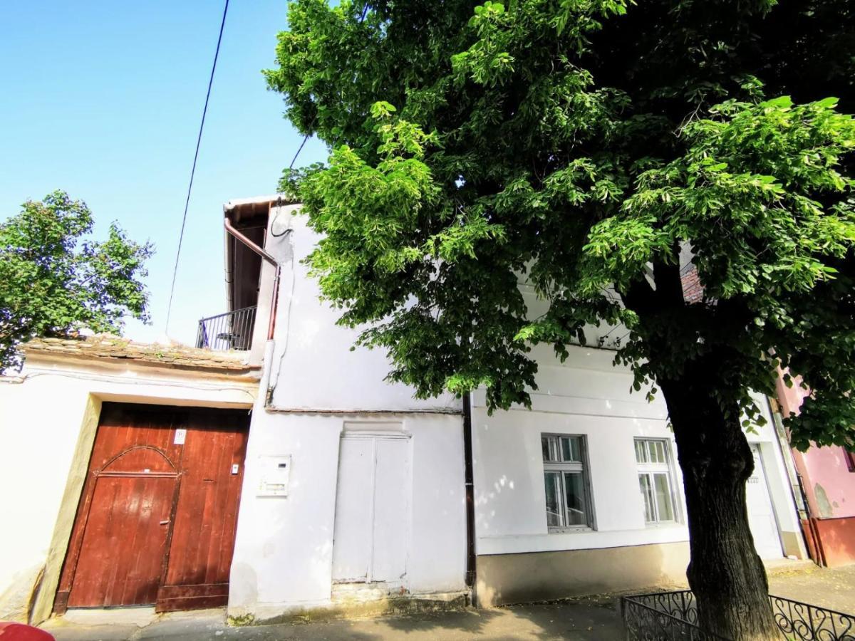 סיביו Studio מראה חיצוני תמונה